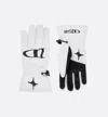 Dior Ski "dior And Lewis Hamilton" Ski Gloves