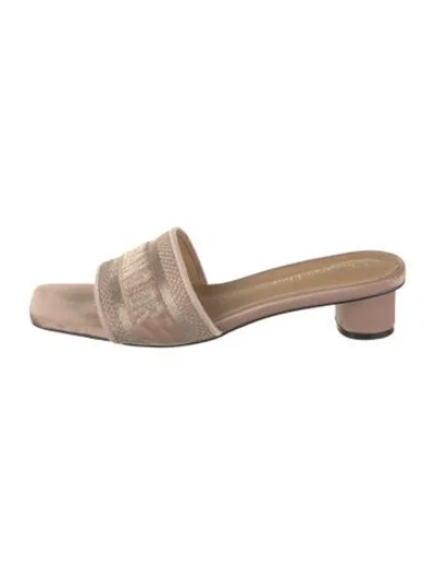 Pre-owned Dior Slides In Pink