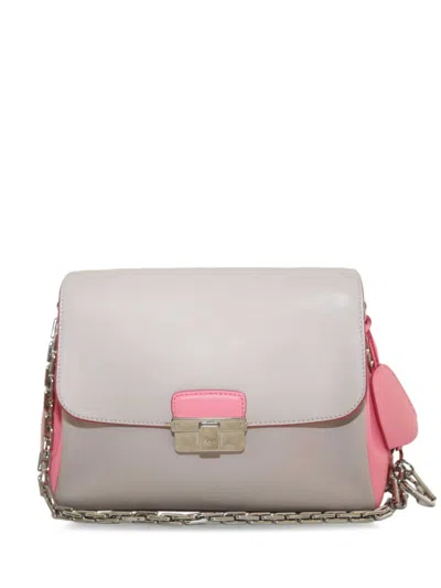 Pre-owned Dior Small Ling Shoulder Bag In Neutrals