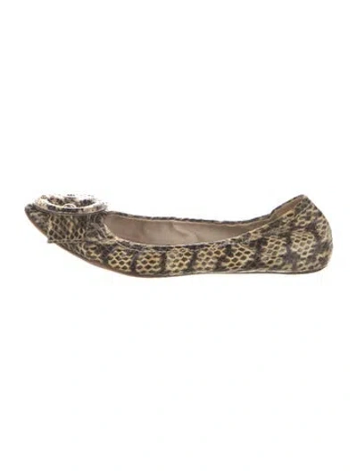 Pre-owned Dior Snakeskin Animal Print Ballet Flats In Neutral