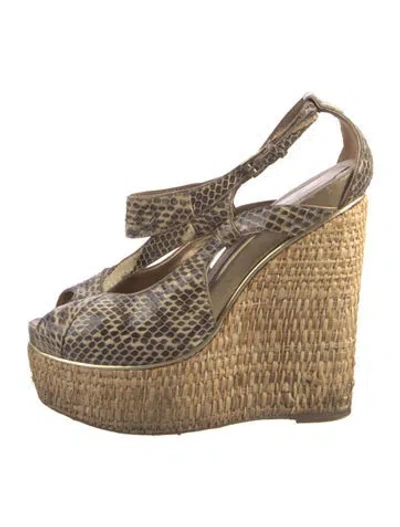 Pre-owned Dior Snakeskin Printed Pumps In Brown