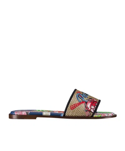 Dior Souvenir Dway Slide In Multi