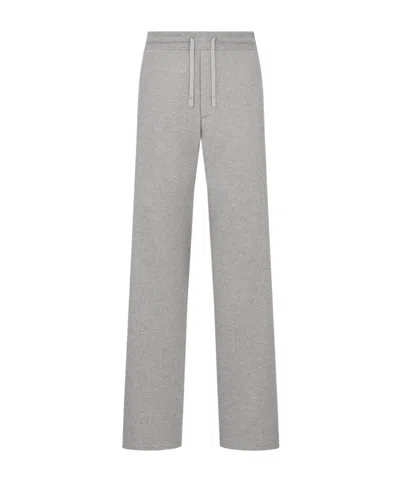 Dior Sports Pants In Grey