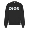 Dior Ss20 Daniel Arsham Faded 3d Logo Print Crewneck Sweatshirt For Men Black