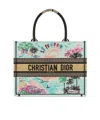 Dior St-tropez  Souvenir Medium  Book Tote In Multi