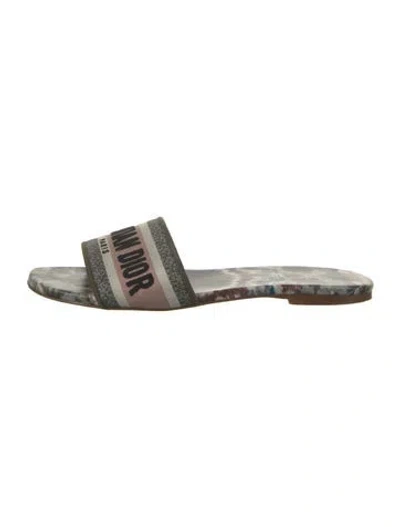 Pre-owned Dior Tie-dye Print Embroidered Accent Slides In Green