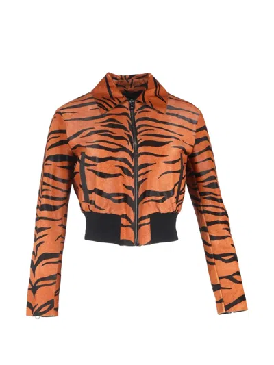Pre-owned Dior Tiger-print Bomber Jacket In Orange