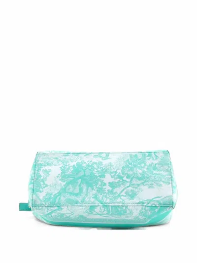 Pre-owned Dior Toile De Jouy Travel Nomad Print Technical Fabric Medium Pouch In 绿色