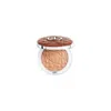 Dior Forever Nude Bronze Velvet 8g Velvet 02 In Velvet 02