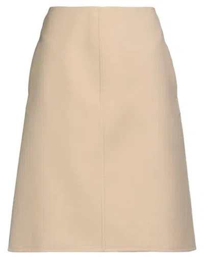 Dior Woman Midi Skirt Sand Size 6 Virgin Wool, Silk
