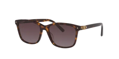 Dior Woman Sunglass Petit Cd S2i In Pattern