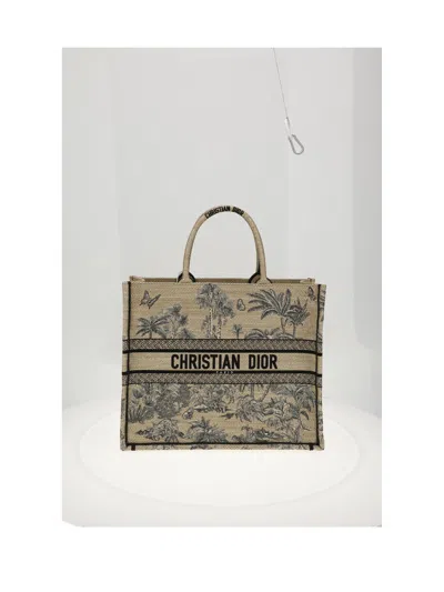 Dior Women Booktote L Palm Rafia In Multi