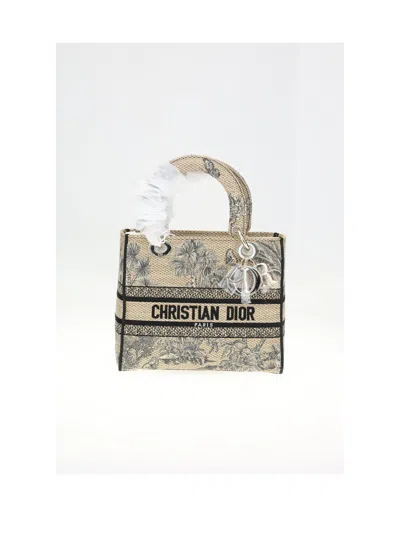 Dior Women Lady  M Embroidery Palm Rafia In Multi