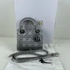 Dior Women Pre-loved Bag Excellent Condition In Multi