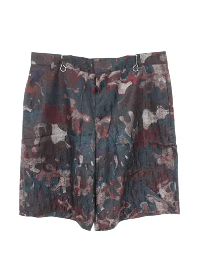 Pre-owned Dior X Peter Doig 2010s Pattern Shorts In Blue