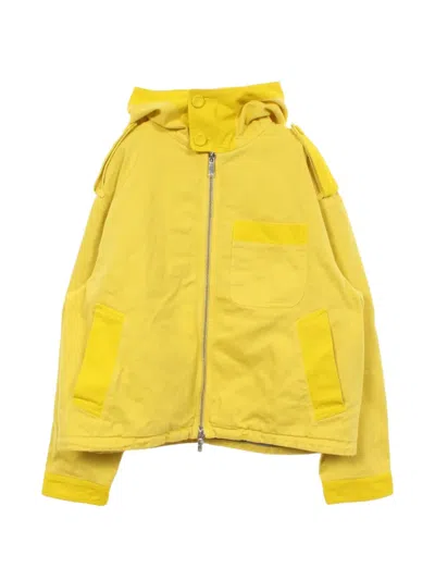 Pre-owned Dior X Peter Doig Hooded Jacket In Yellow