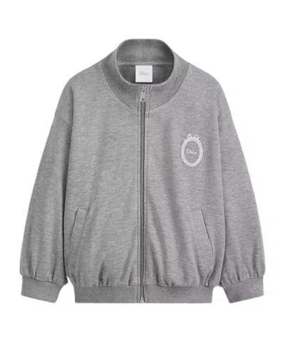 Dior Zipper Sweatshirt In Gray
