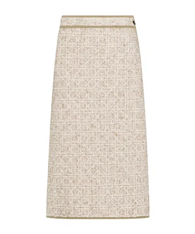 Dior Zippered Skirt In Nude
