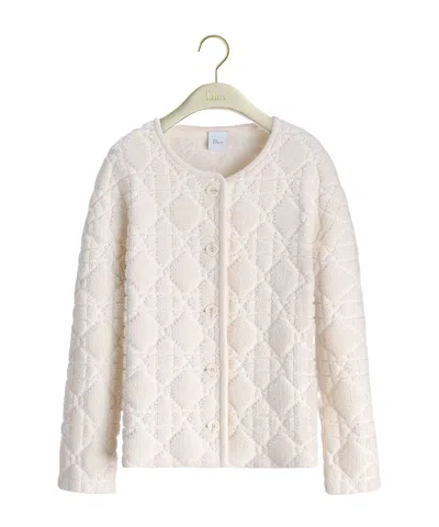 Dior Alps Cannage Jacket In Gray