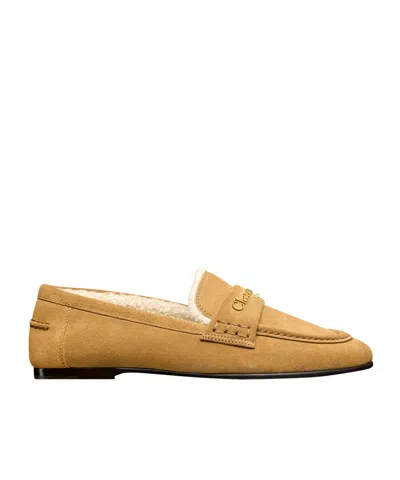 Dior Alps  Boy Loafer In Brown