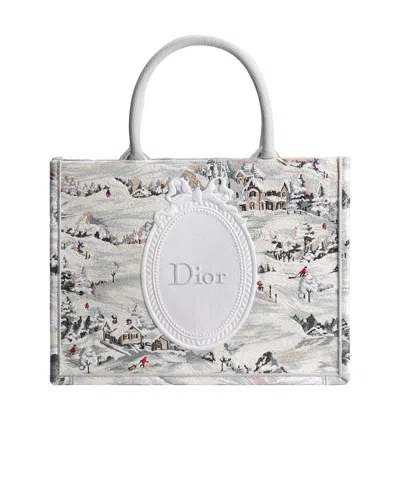 Dior Alps Medium  Book Tote With Strap In Gray