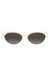 Dior Cannage R1u Oval Sunglasses In Multi