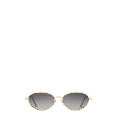 Dior Cannager1u In Gray