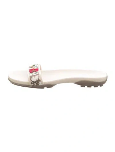 Pre-owned Dior Issimo Pattern Canvas Slides In Neutral