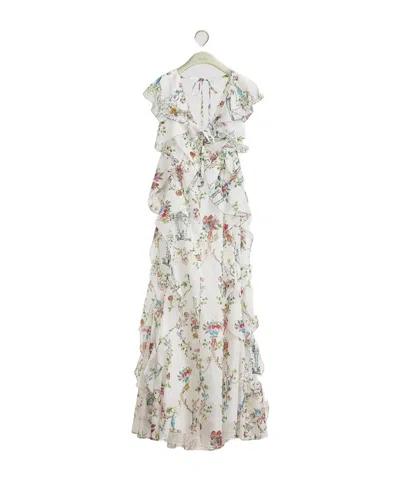Dior Iviera Long Ruffled Dress In Neutral