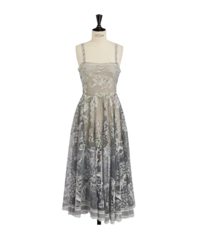 Dior Iviera Mid-length Flared Dress In Gray