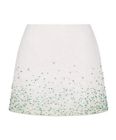Dior Iviera Miniskirt In White
