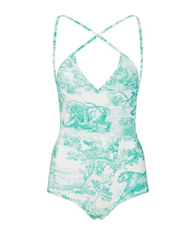 Dior Iviera One-piece Swimsuit In Green