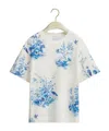 Dior Iviera Oversized T-shirt In Multi