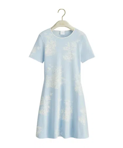 Dior Iviera Short Flared Dress In Blue