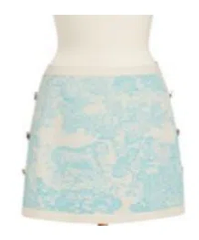 Dior Iviera Straight Miniskirt In Blue