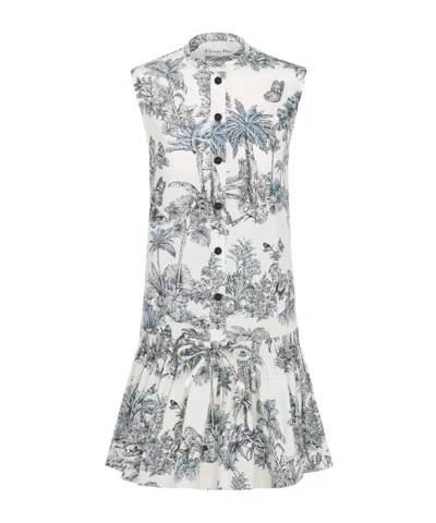 Dior Iviera Straight Ruffled Dress In White And Blue