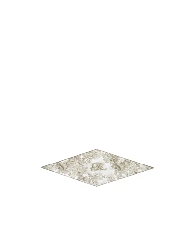 Dior Iviera Toile De Jouy Sauvage  Diamond In Multi
