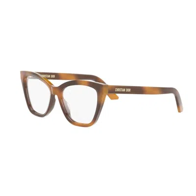Dior Midnighto B1i2600 In Brown