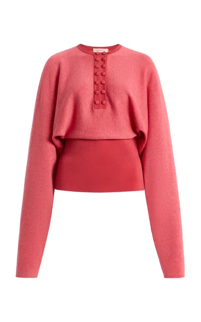 Diotima Lycee Cotton-cashmere Sweater In Brown