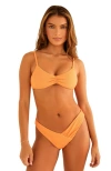 Dippin Daisys Angel Cheeky Bikini Bottom In Reef