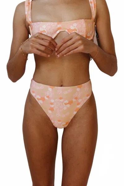 Dippin Daisys Cleo Bikini Bottom In Coral Garden In Pink