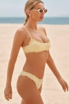 Dippin Daisys June Bikini Bottoms In Yellow