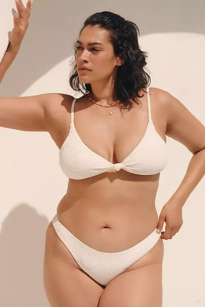 Dippin Daisys Nocturnal Plus Bikini Bottoms In Beige