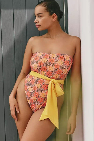 Dippin Daisys Primavera One-piece Swimsuit In Multi