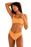 Dippin Daisys Retro Bottom In Reef