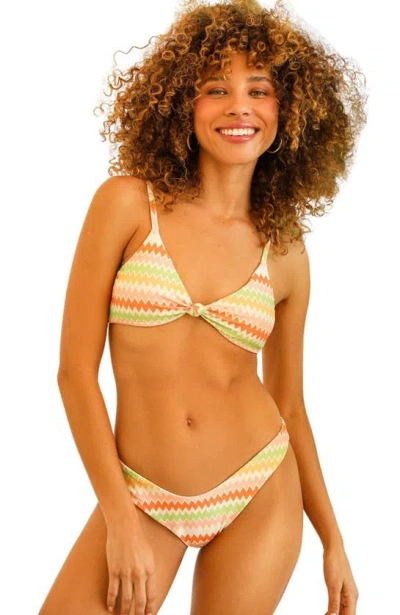 Dippin Daisys Taylor Cheeky Swim Bikini Bottom In Hang Ten Stripe