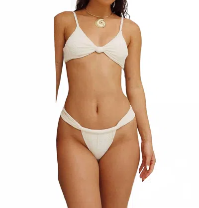 DIPPIN DAISYS WOMEN'S TROPICS SUPER CHEEKY BIKINI BOTTOM IN GARDENIA SEASHELL