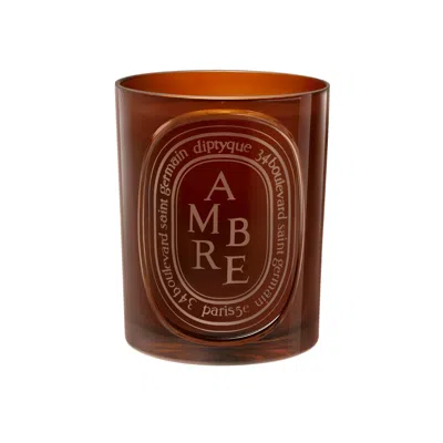 Diptyque Ambre Candle 300 G In Brown