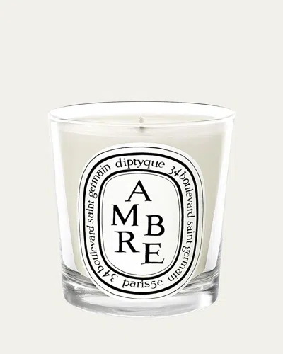 Diptyque Ambre (amber) Scented Candle, 6.5 Oz. In Multi