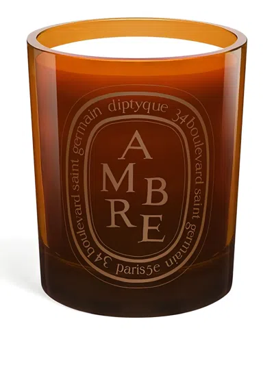 Diptyque Amber Medium-model Candle (300g) In Brown